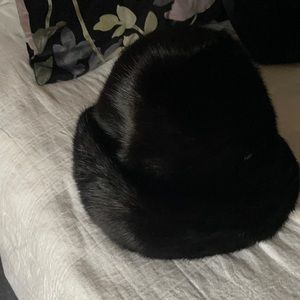 Authentic black diamond make hat